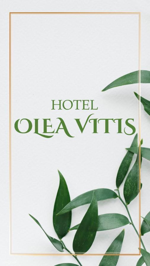 Hotel Olea Vitis Međugorje Esterno foto